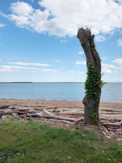 Deemer Beach parking - New Castle, DE