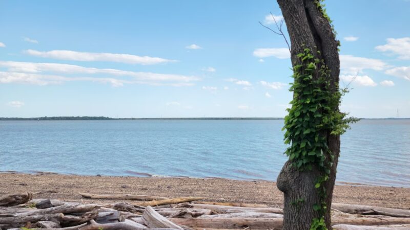 Deemer Beach parking - New Castle, DE