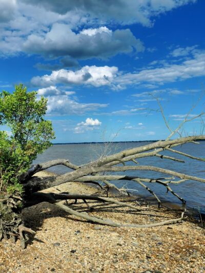 Deemer Beach parking - New Castle, DE