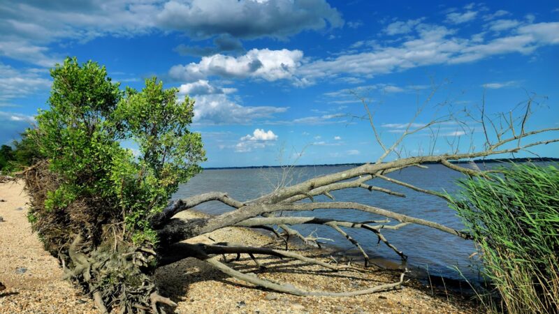 Deemer Beach parking - New Castle, DE