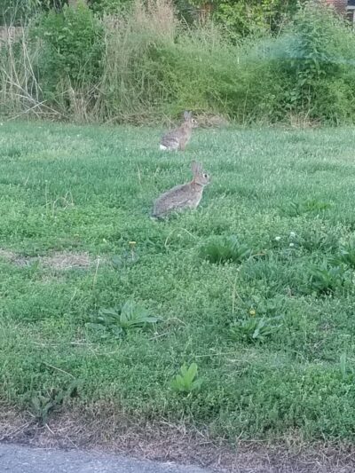 Jack A. Markell Trail New Castle - New Castle, DE