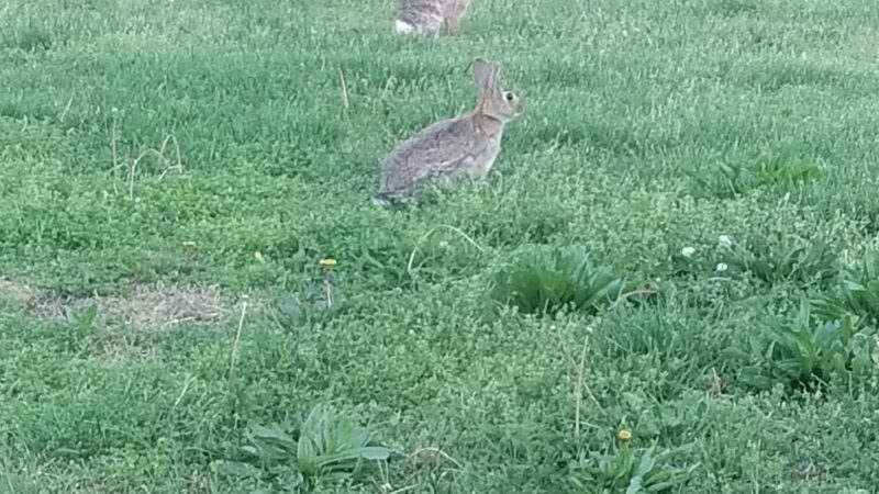 Jack A. Markell Trail New Castle - New Castle, DE