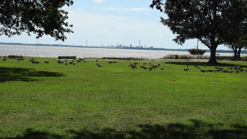 New Castle Battery Park - New Castle, DE