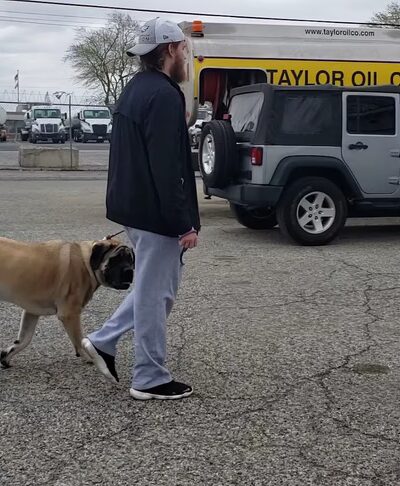 Off Leash K9 Training - New Castle, DE