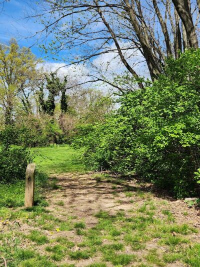 Rogers Manor Park - New Castle, DE