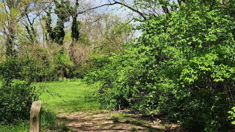 Rogers Manor Park - New Castle, DE