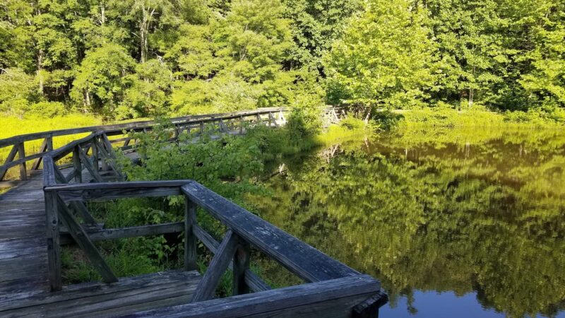 Fenwick Mines Day Use Area - New Castle, VA