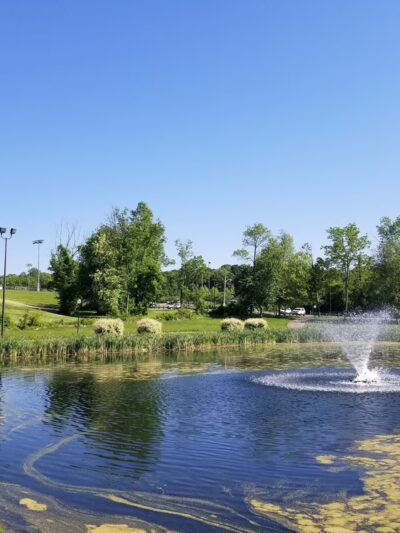 Eugene Levy Memorial Park - New City, NY