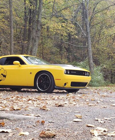 Rees Rest Area - Park - New Creek, WV