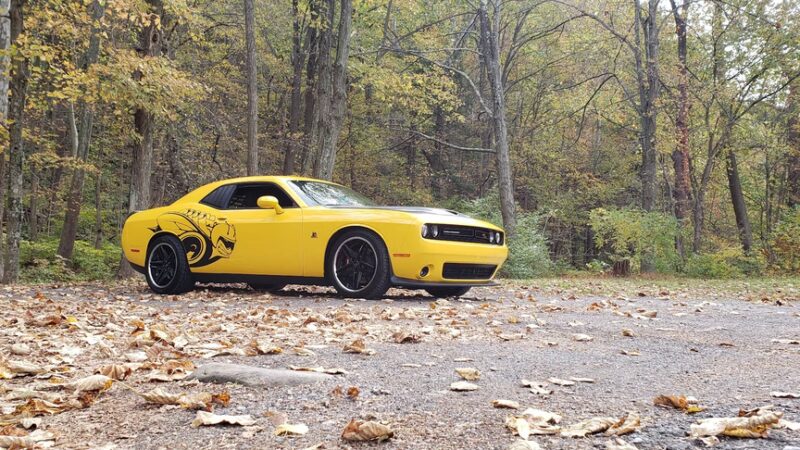 Rees Rest Area - Park - New Creek, WV