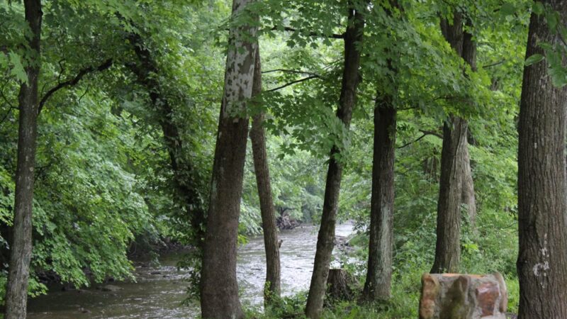 Rees Rest Area - Park - New Creek, WV