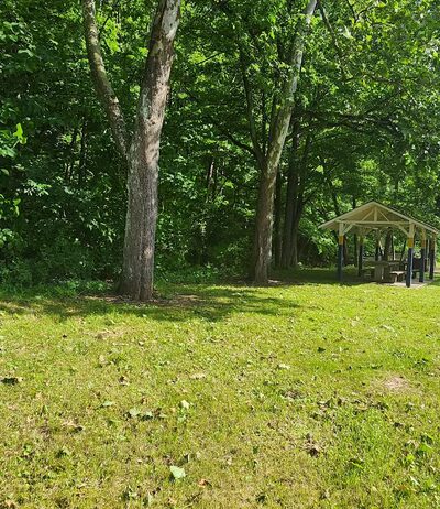 Rees Rest Area - Park - New Creek, WV