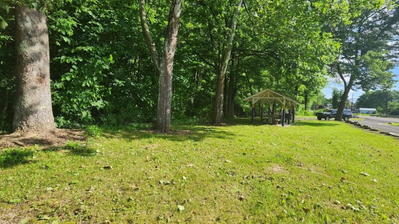 Rees Rest Area - Park - New Creek, WV