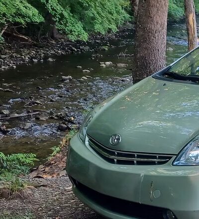 Rees Rest Area - Park - New Creek, WV