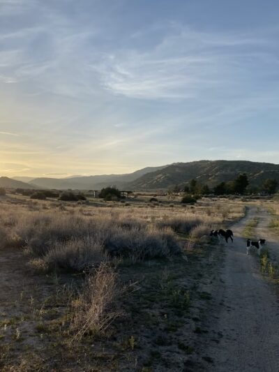 Songdog Ranch - New Cuyama, CA