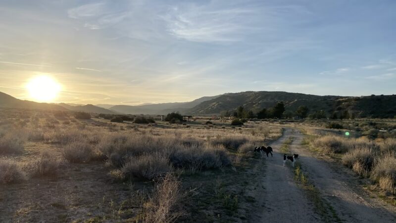 Songdog Ranch - New Cuyama, CA