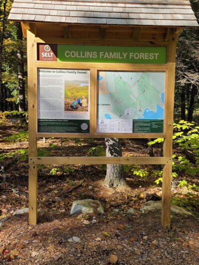 Collins Family Forest - New Durham, NH