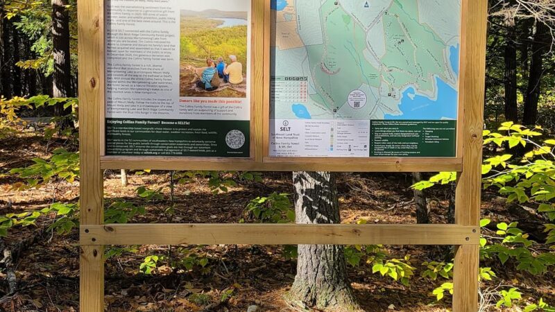 Collins Family Forest - New Durham, NH