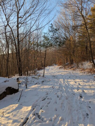 Collins Family Forest - New Durham, NH