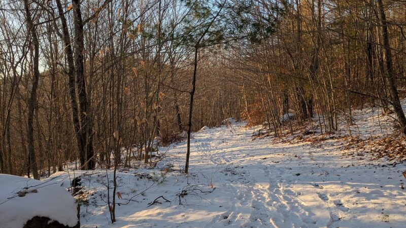 Collins Family Forest - New Durham, NH