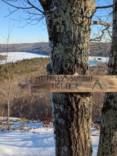 Collins Family Forest - New Durham, NH