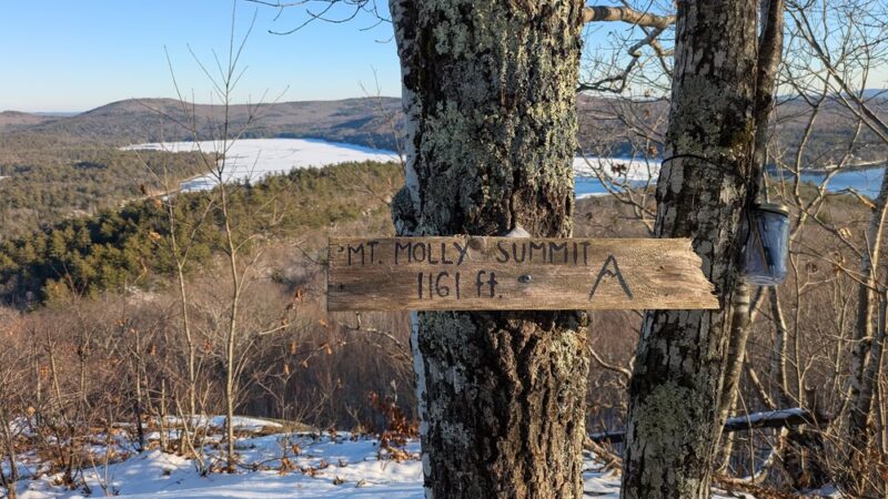 Collins Family Forest - New Durham, NH