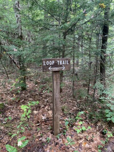Cooper Cedar Woods - New Durham, NH