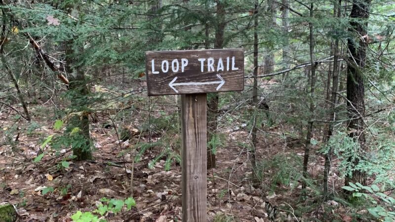 Cooper Cedar Woods - New Durham, NH