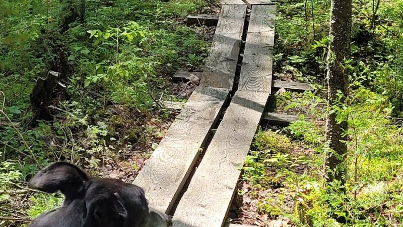Cooper Cedar Woods - New Durham, NH