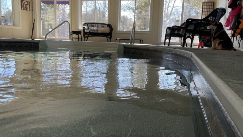 Doggie Dome Swim Spa - New Durham, NH
