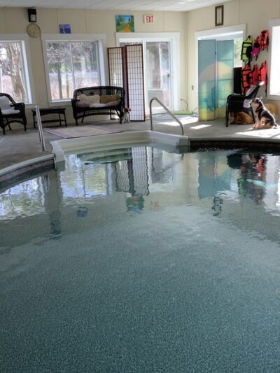Doggie Dome Swim Spa - New Durham, NH