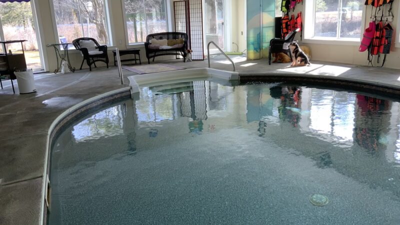 Doggie Dome Swim Spa - New Durham, NH
