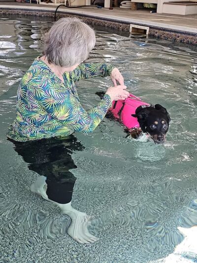 Doggie Dome Swim Spa - New Durham, NH