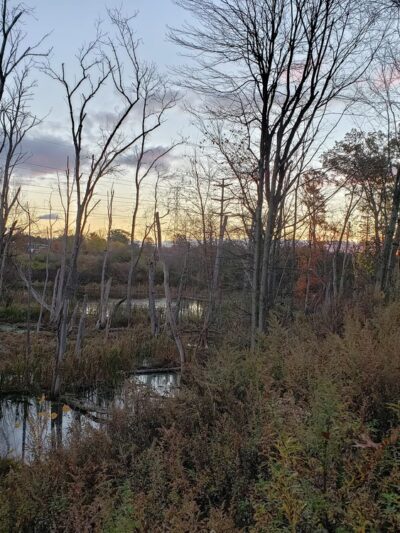 Orange Heritage Trail - New Hampton, NY