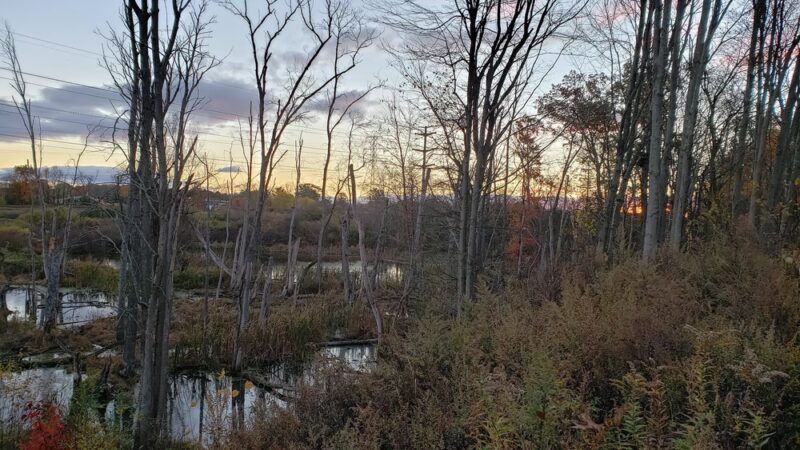 Orange Heritage Trail - New Hampton, NY