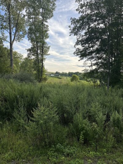 Orange Heritage Trail - New Hampton, NY