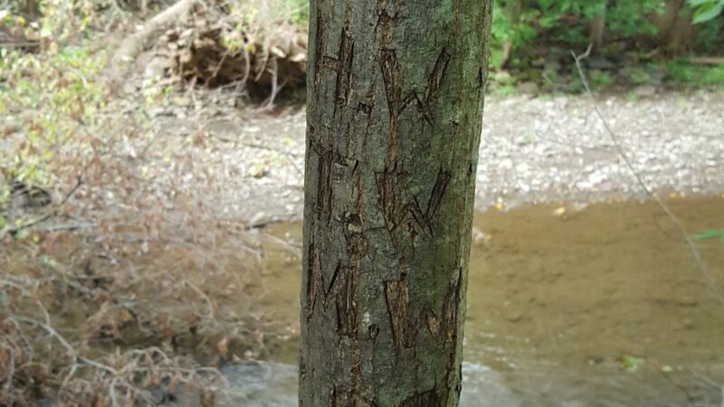 Washington Mills Athletic Park - New Hartford, NY
