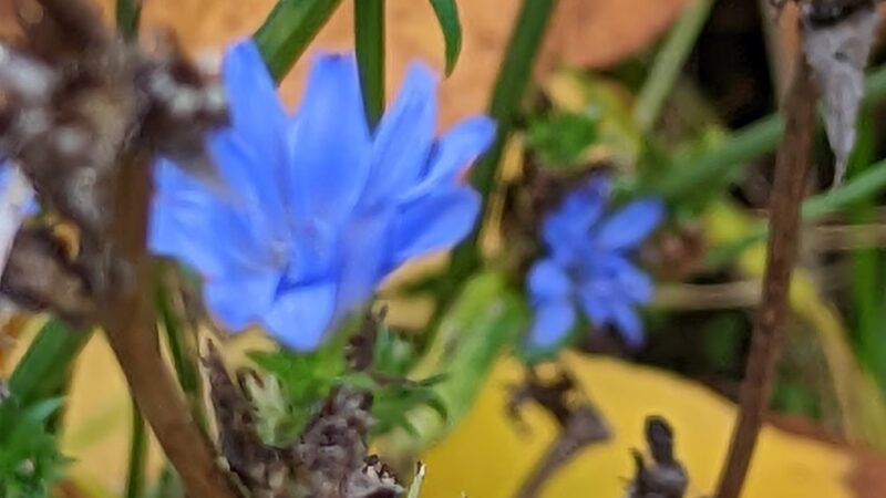 Washington Mills Athletic Park - New Hartford, NY