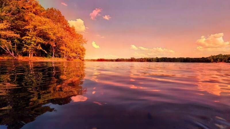 Harris Lake County Park - New Hill, NC