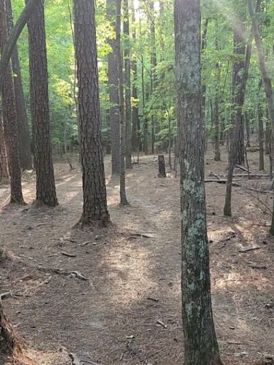 Hog run bike trail - New Hill, NC