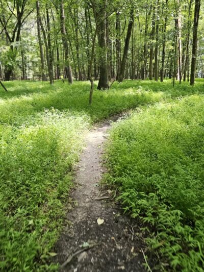 Hog run bike trail - New Hill, NC