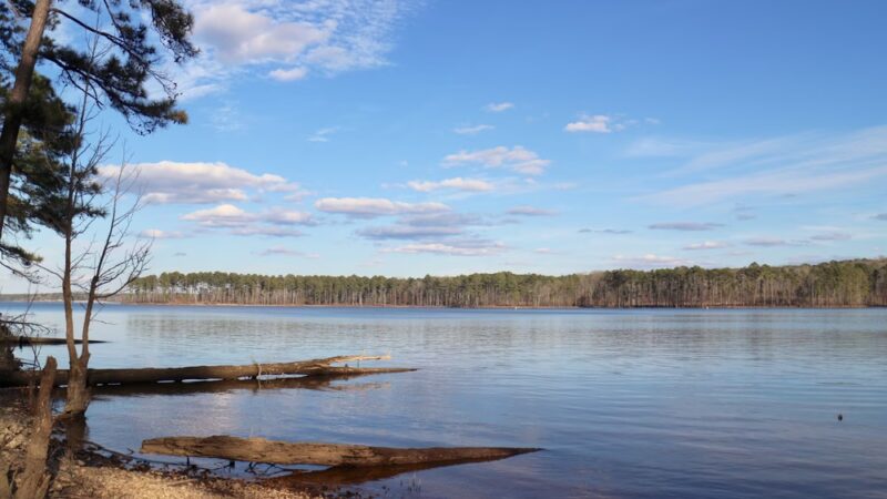 New Hope Trail - New Hill, NC