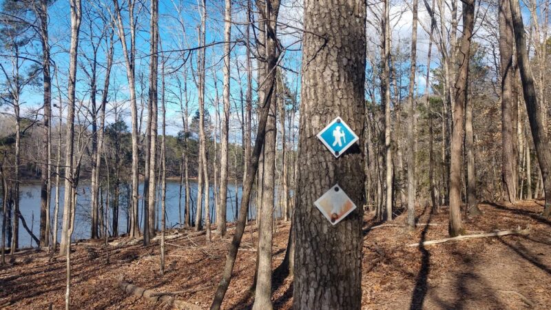 New Hope Trail - New Hill, NC