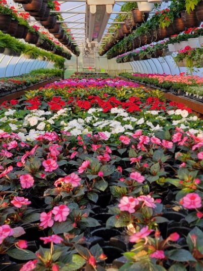 Country Lane Flowers - New Holland, PA