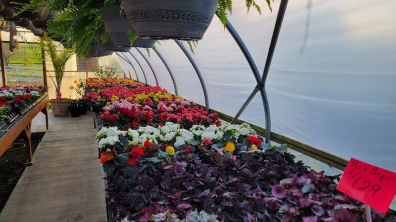 Country Lane Flowers - New Holland, PA