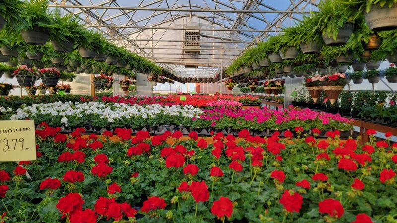 Country Lane Flowers - New Holland, PA