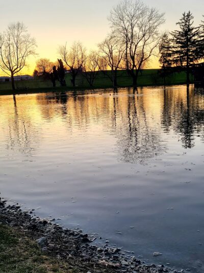 Nolts Pond - New Holland, PA