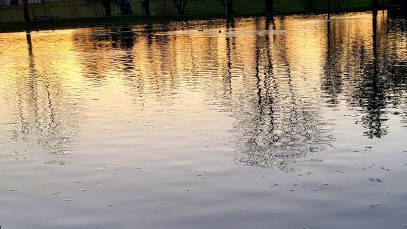 Nolts Pond - New Holland, PA
