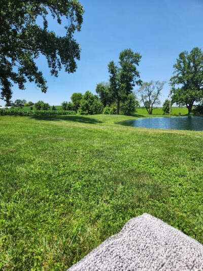 Nolts Pond - New Holland, PA