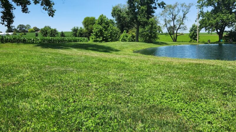 Nolts Pond - New Holland, PA